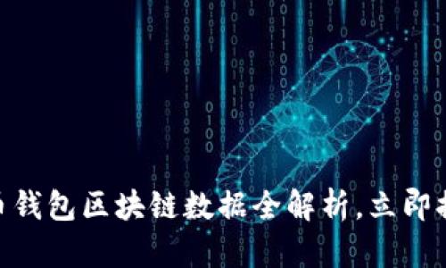 2025必看：莱特币钱包区块链数据全解析，立即提升您的投资智慧