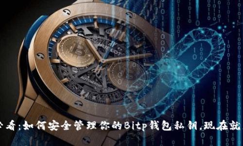 2025必看：如何安全管理你的Bitp钱包私钥，现在就来了解！