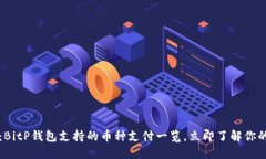 2025必看：BitP钱包支持的币种支付一览，立即了解