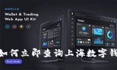 2025必看：如何立即查询上海数字钱包中签情况