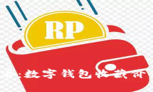 2025年必看：数字钱包收藏价值如何查看