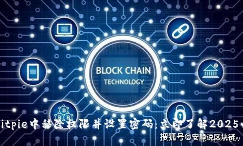 如何在Bitpie中移除权限并设置密码：立即了解2025必看技巧