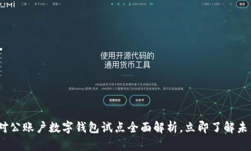 2025必看：对公账户数字钱包试点全面解析，立即了解未来金融革命！