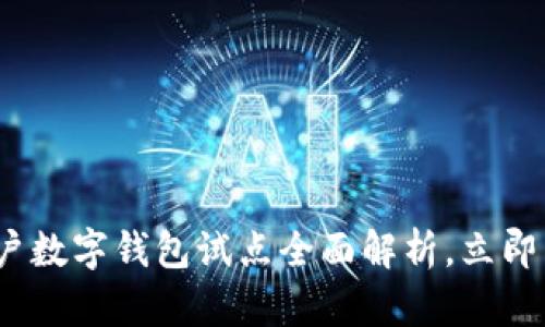 2025必看：对公账户数字钱包试点全面解析，立即了解未来金融革命！