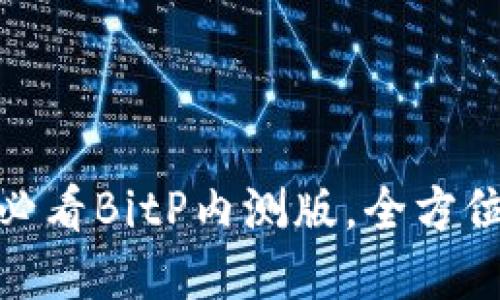 现在体验！2025年必看BitP内测版，全方位揭秘新功能与潜力