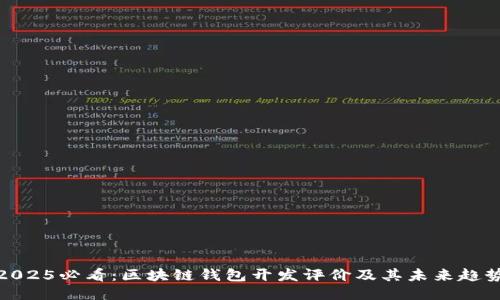2025必看：区块链钱包开发评价及其未来趋势