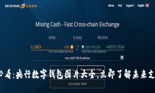 2025必看：央行数字钱包图片大全，立即了解未来支付方式