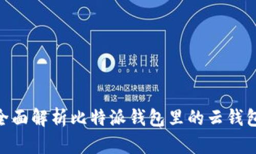 2025必看：全面解析比特派钱包里的云钱包功能与优势