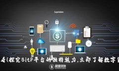 : 2025必看！探究BitP平台的独特魅力，立即了解数