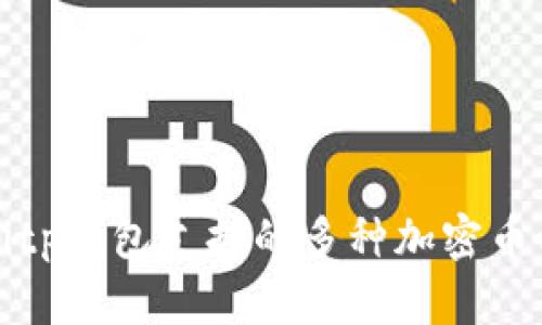 2025必看：Bitp钱包支持的多种加密币种，立即了解！