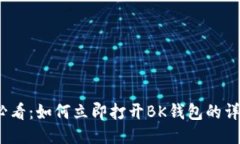2025必看：如何立即打开BK钱包的详细教程