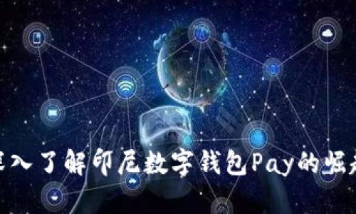 2025必看：深入了解印尼数字钱包Pay的崛起与未来展望