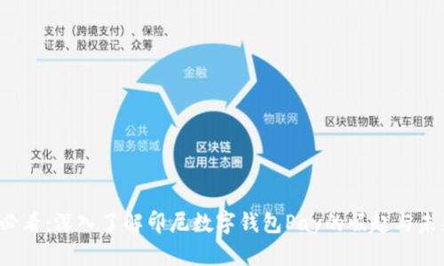 2025必看：深入了解印尼数字钱包Pay的崛起与未来展望