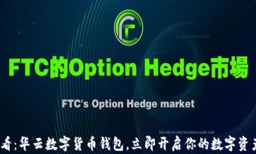 
2025必看：华云数字货币钱包，立即开启你的数字资产新时代