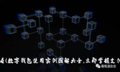 2025必看！数字钱包使用实例图解大全，立即掌握