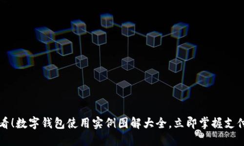 2025必看！数字钱包使用实例图解大全，立即掌握支付新时代！