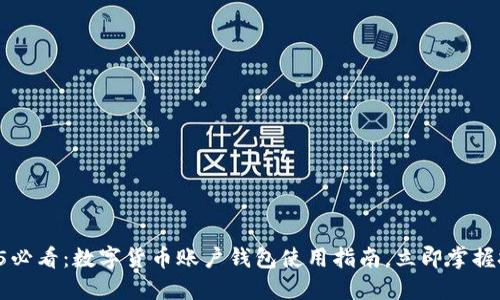 2025必看：数字货币账户钱包使用指南，立即掌握技巧!