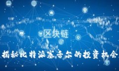 2025必看：揭秘比特派塞舌尔的投资机会与市场潜