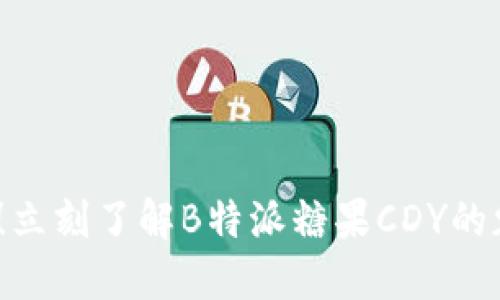 2025必看！立刻了解B特派糖果CDY的魅力与世界