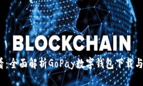 2025必看：全面解析GoPay数字钱包下载与使用指南