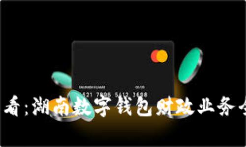 2025必看：湖南数字钱包财政业务全面解析