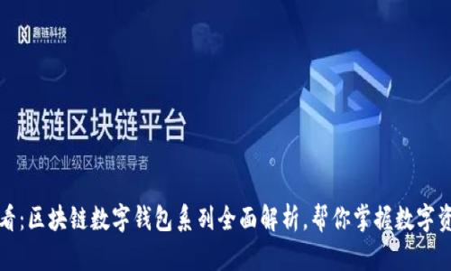 2025必看：区块链数字钱包系列全面解析，帮你掌握数字资产管理！