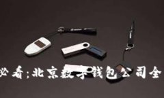 2025必看：北京数字钱包公司全景解析