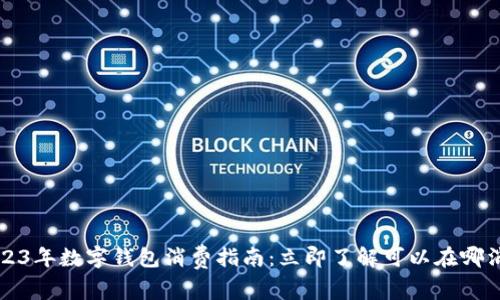 2023年数字钱包消费指南：立即了解可以在哪消费