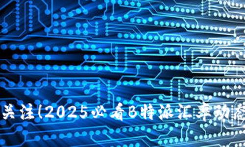 立即关注！2025必看B特派汇率动态分析