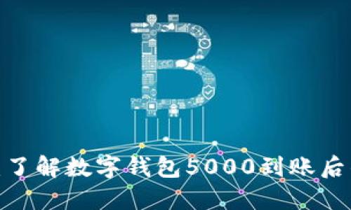 2025必看：了解数字钱包5000到账后的实得金额