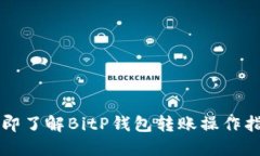 立即了解BitP钱包转账操作指南