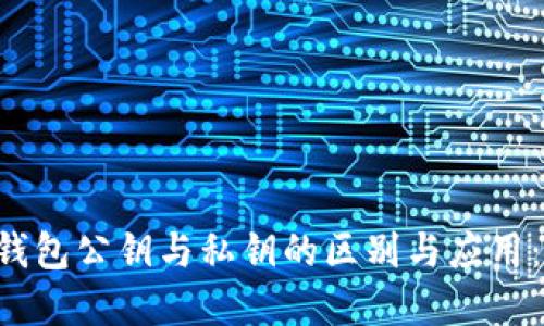 立即了解数字钱包公钥与私钥的区别与应用：2025必看指南