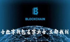 2025必看！最全数字钱包名字大全，立即找到你的