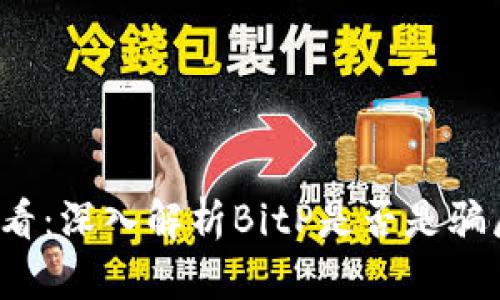2025必看：深入解析BitP是否是骗局的真相
