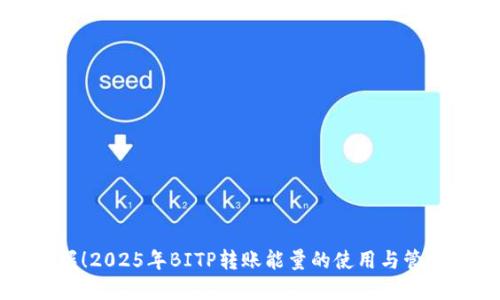 立即掌握！2025年BITP转账能量的使用与管理全攻略