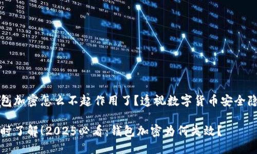 钱包加密怎么不起作用了？透视数字货币安全隐患

及时了解！2025必看：钱包加密为何失效？