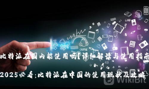 比特派在国内能使用吗？详细解读与使用指南

2025必看：比特派在中国的使用现状及攻略