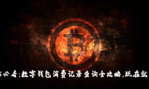 2025必看：数字钱包消费记录查询全攻略，现在就了解！