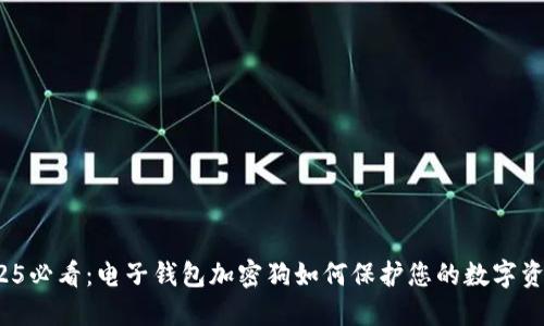 2025必看：电子钱包加密狗如何保护您的数字资产？