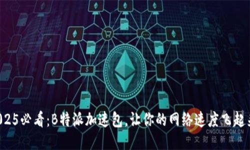 2025必看：B特派加速包，让你的网络速度飞起来！