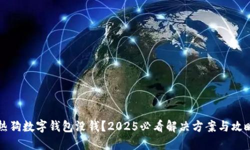 热狗数字钱包没钱？2025必看解决方案与攻略