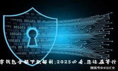 数字钱包全额下款解析：2025必看，您还在等什么
