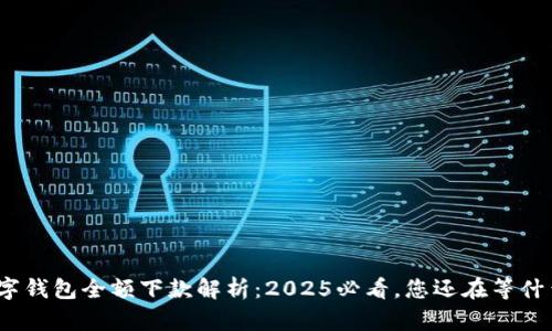 数字钱包全额下款解析：2025必看，您还在等什么？