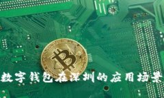 2025必看：数字钱包在深圳的应用场景与发展趋势
