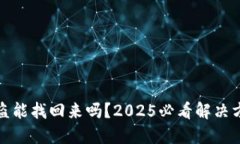 比特派被盗能找回来吗？2025必看解决方案与建议