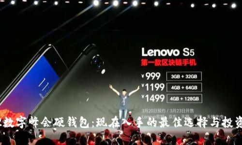 2022数字峰会硬钱包：现在入手的最佳选择与投资机会
