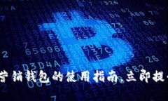 2025必看：数字营销钱包的使用指南，立即提升你