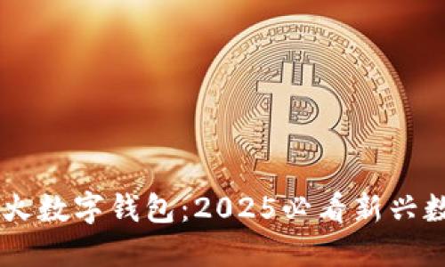 立即了解艺火数字钱包：2025必看新兴数字货币平台