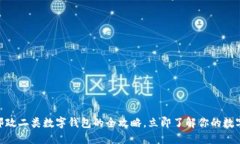 2025必看：邮政二类数字钱包的全攻略，立即了解