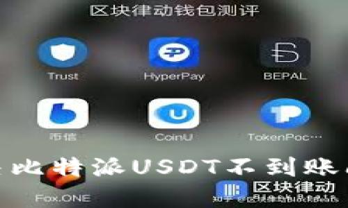 2025必看：解决比特派USDT不到账问题的终极指南